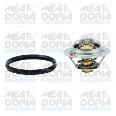 Thermostat, coolant